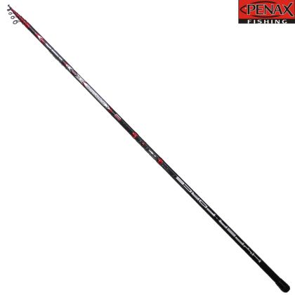 ПРЪТ PENAX RAPTOR 4.20 m 20-80 гр