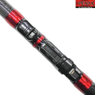 ПРЪТ PENAX RAPTOR 4.00 m 20-80 гр