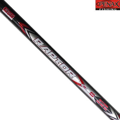 ПРЪТ PENAX RAPTOR 4.00 m 20-80 гр