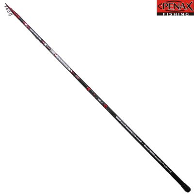 ПРЪТ PENAX RAPTOR 4.20 m 20-80 гр
