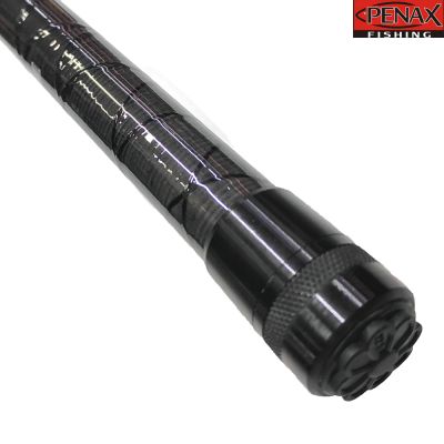 ПРЪТ PENAX RAPTOR 4.20 m 20-80 гр