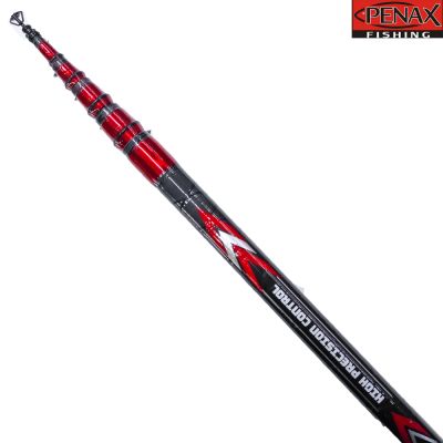ПРЪТ PENAX RAPTOR 4.20 m 20-80 гр