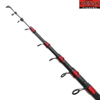 ПРЪТ PENAX RAPTOR 4.20 m 20-80 гр