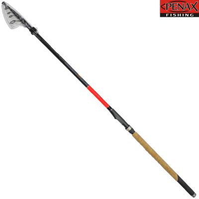 ПРЪТ PENAX  VIKING MATCH 4.00м. 50-100 гр.