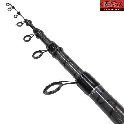 ПРЪТ PENAX  VIKING MATCH 4.00м. 50-100 гр.