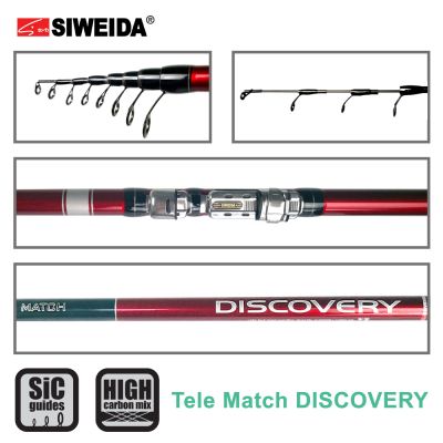 ПРЪТ SIWEIDA DISCOVERY 4.20м. 20-80гр.