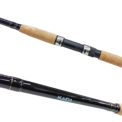 Спининг въдица Kaida Pelican 2.70м, 40-80г