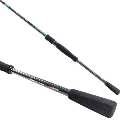 Спининг въдица Siweida Absolute Spin 2.65m/40-80гр